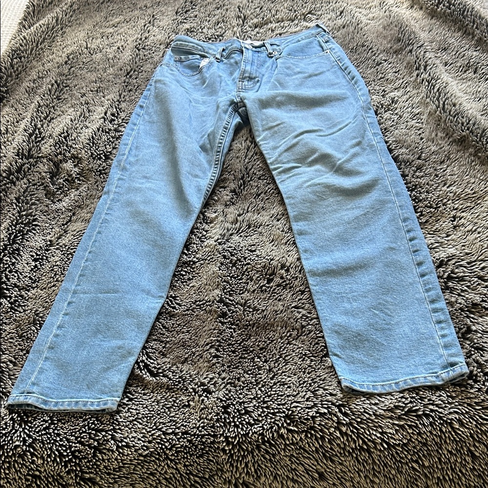 Everlane High Waist Straight Jeans 28R